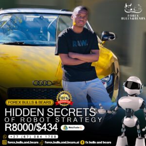 HIDDEN SECRETS OF THE ROBOT